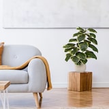 thumbnail of Pianta artificiale / Albero artificiale FICUS 3 85 cm Ficus Elastica Albero della gomma Plastica verde hjh OFFICE