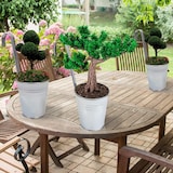 thumbnail of 6 x Blumentopf Hängetopf Pflanztopf Hängetöpfe Blumen Topf Kräutertopf Zink