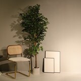 thumbnail of Albero artificiale ficus benjamina 180 cm | Naturing Monde - Interno - Tronco d'albero naturale