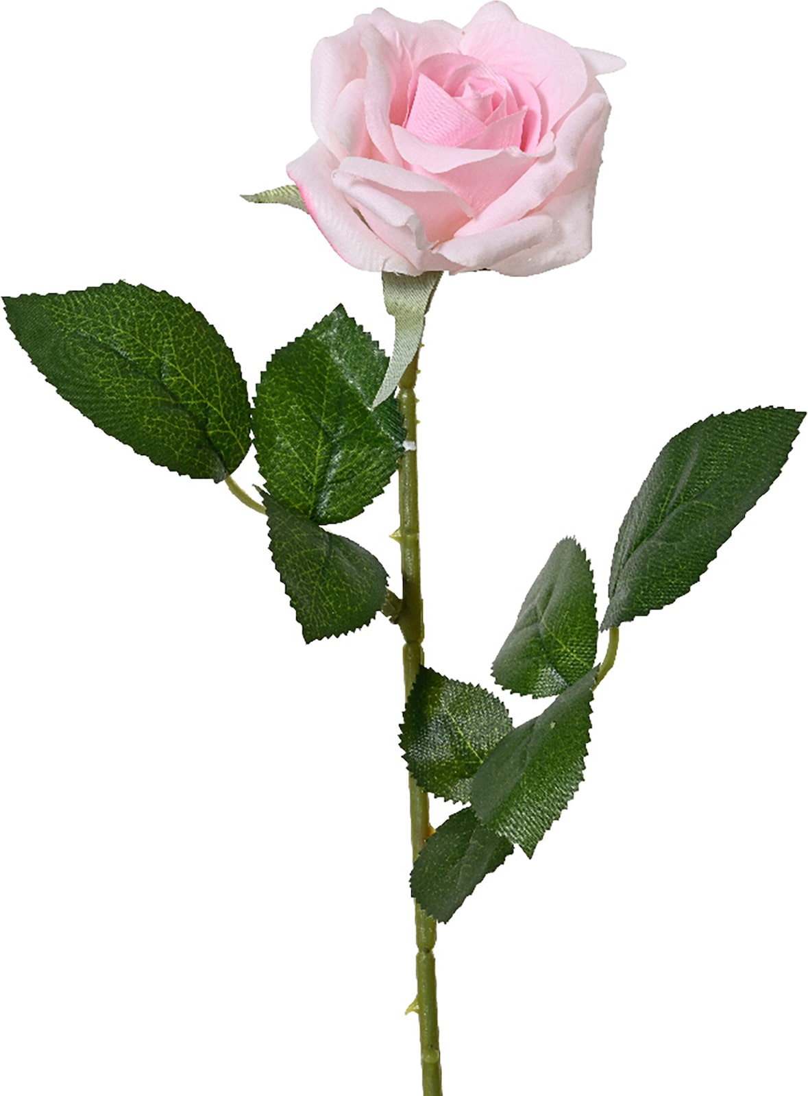 Künstliche Rose mit Stiel 8x55cm - Kunstblumen Seidenblumen Dekoblumen Blumendeko Stielblumen Blumen Deko Hochzeit Valentinstag Kunstrose Rosa
