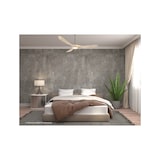 thumbnail of Eco Genuino L 152, Ventilatore satinato e legno con Luce, CasaFan