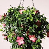 thumbnail of Jardinera artificial Lirio Rosado| Naturing Monde - Diametro 30cm -Para interior y exterior - Material 100% HDPE alta calidad