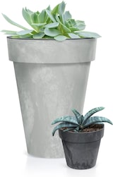 thumbnail of Prosperplast - CUBE BETON EFFECT 0,6L Topf - 11x11x9,7cm in Betongrau farbe