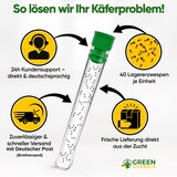 thumbnail of Lagererzwespen gegen Brotkäfer, Reiskäfer & Co. - 5