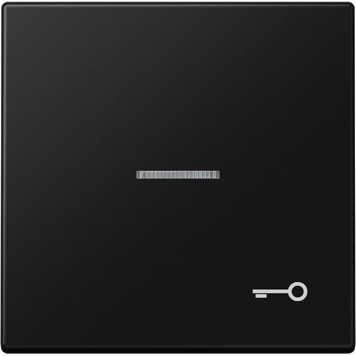 Jung Wippe 1-fach LS 990 KO5 T SWM LS990KO5TSWM