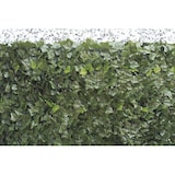 thumbnail of Siepe Artificiale Edera 1x3m Frangivista Verde Scuro
