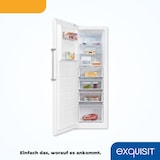 thumbnail of Exquisit Gefrierschrank GS295-NF-H-040D weiss | 274 l Nutzinhalt | NoFrost | Schnellgefrieren | Alarm-Funktion
