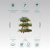 thumbnail of HORTALIA Estanteria Expositor De Madera Grow