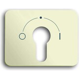 thumbnail of Busch-Jaeger Zentralscheibe ws 1755 SLPZ-22G-101 2CKA001710A2355