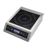 thumbnail of Inducción INDS3500