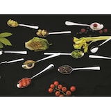 thumbnail of 1 x Picard & Wielpütz MARINA Fleisch-/Aufschnittgabel 6106