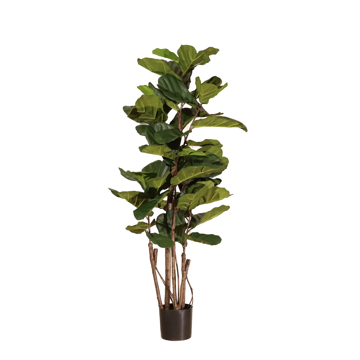 Pianta artificiale Ficus lyrata 180 cm - Naturing Monde - Interni