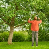 thumbnail of Gardena Astschere TeleCut Pro L