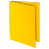 thumbnail of Exacompta - Réf. 210011E - Paquet de 100 chemises rigides ROCK''S 210 g/m2 - dim 24 x 32 cm pour A4 - jaune citron