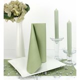 thumbnail of Airlaid Serviette Phalaris Naturgrün, 33 x 33 cm, 50 Stück - APARTina