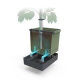 thumbnail of Gusta Garden TOM TOMATO set van 3 donkergroen