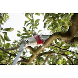 thumbnail of Elagueur sur perche 20V Télescopique jusqu'à 4m - Elagueuse Guide Oregon 20cm- Batterie lithium 2.0Ah Chargeur IKRA