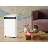 thumbnail of Desumidificador com compressor de 20 l/d