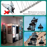 thumbnail of PRIOstahl Taubenabwehr Vogelschreck 4-reihig 5 Meter (10 x 0,50cm Spikes) Vogelabwehr aus Edelstahl