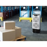 thumbnail of PURLINE Evaporative Cooler com ventilador duplo RAFY 220