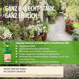 thumbnail of Substral Naturen Schädlingsfrei Zierpflanzen 750 ml Sprühflasche