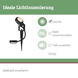 thumbnail of Paulmann Plug & Shine Projecteur de jardin LED Sting Spot individuel favorable aux insectes IP67 2200K 6,3W   Anthracite 94728