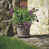 thumbnail of Pflanzkübel GEO 40 cm taupe rund Taupe 40