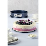 thumbnail of DR OETKER Springform 28cm BackLiebe E.