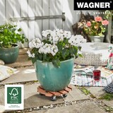 thumbnail of WAGNER Pflanzenroller WPC Ø 29 x 7,5 cm, für außen&innen, anthrazit wetterfest, Feststeller, Tragkraft 100 kg - 20053501