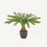 thumbnail of LIGNE DÉCO Palmier artificiel cycas 70cm