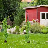 thumbnail of Relaxdays Rosenbogen Metall, Rankhilfe für Kletterpflanzen, Deko-Spitzen, wetterfest, HBT 270 x 144 x 60 cm, dunkelgrün