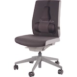 thumbnail of Fellowes Respaldo lumbar Professional ergonómico de espuma con sección para columna, color negro