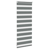 thumbnail of vidaXL Doppelrollo Dunkelgrau 60x100 cm Stoffbreite 55,9 cm Polyester