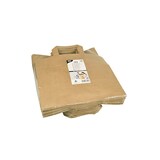 thumbnail of PAPSTAR 50 Tragetaschen, Papier 25 cm x 26 cm x 17 cm braun mit Tragegriff