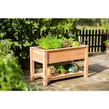 thumbnail of Westmann Verhoogde Plantenbak Emily 120x65x75 cm - Moestuinbak WM102420