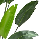 thumbnail of tectake Árbol de ave del paraíso artificial TROPIC, aspecto realista  Verde