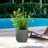 thumbnail of Divina Garden -  Harzvase für den Innen- und Außenbereich für Designer-Zylinderpflanzen, D.35x34h Raffaello Verde