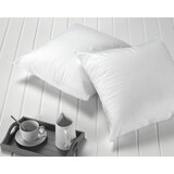 thumbnail of Relleno de cojín con fibra hueca siliconada pack 2 unidades 60x60 cm