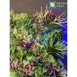 thumbnail of GeckoWall "BERLÍN" | Pared índigo púrpura premium | Revestimiento flores gastronómicas | Paneles lavanda artificial.