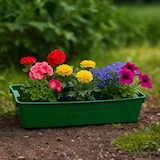 thumbnail of Gärtnerbox Pflanzschale Pikierschale 58x32x11 Profi Pflanzwanne Saatschale grün Grün