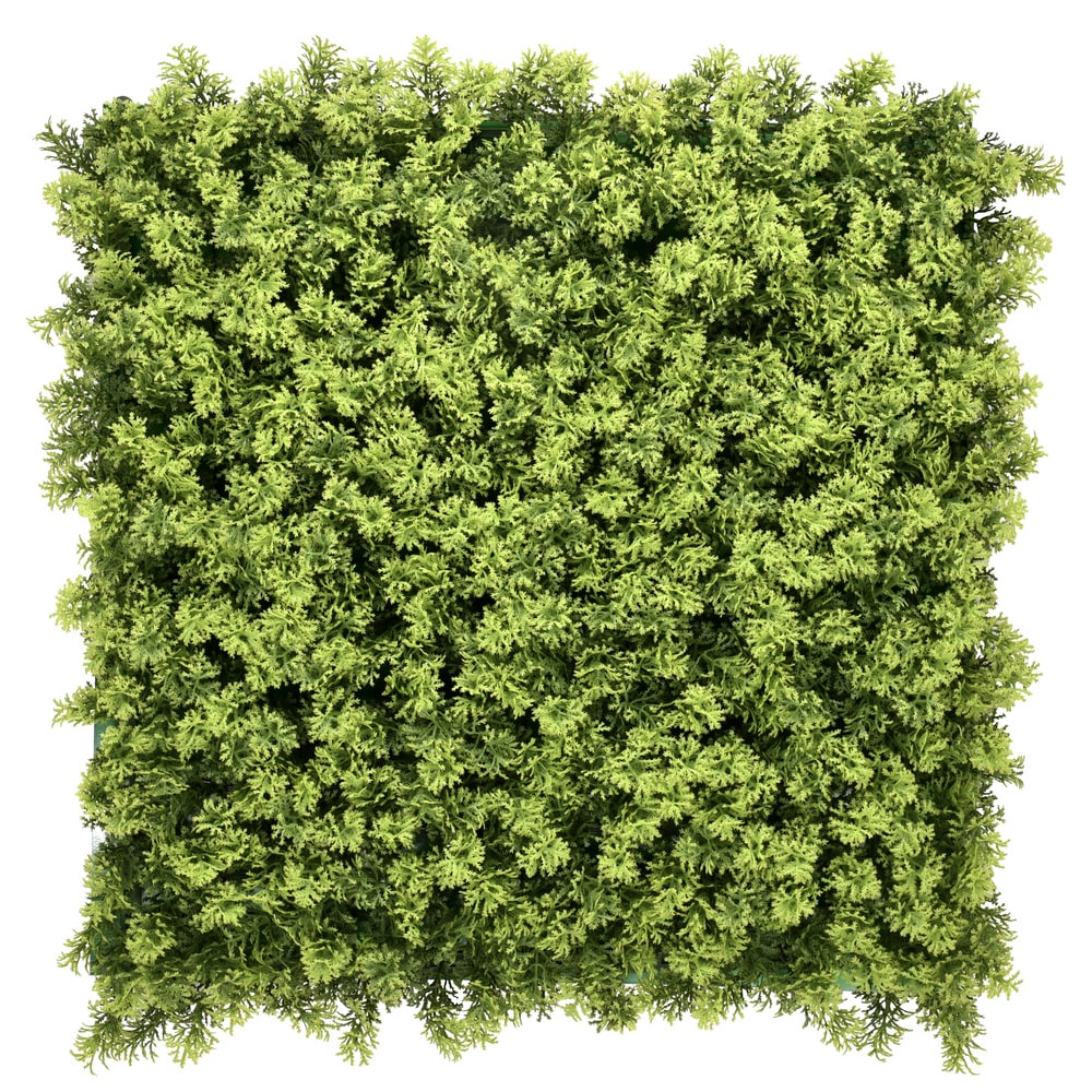 Tapete para plantas LEAFLUXE 3 verde hjh LIVING