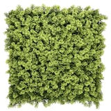 thumbnail of Tapete para plantas LEAFLUXE 3 verde hjh LIVING