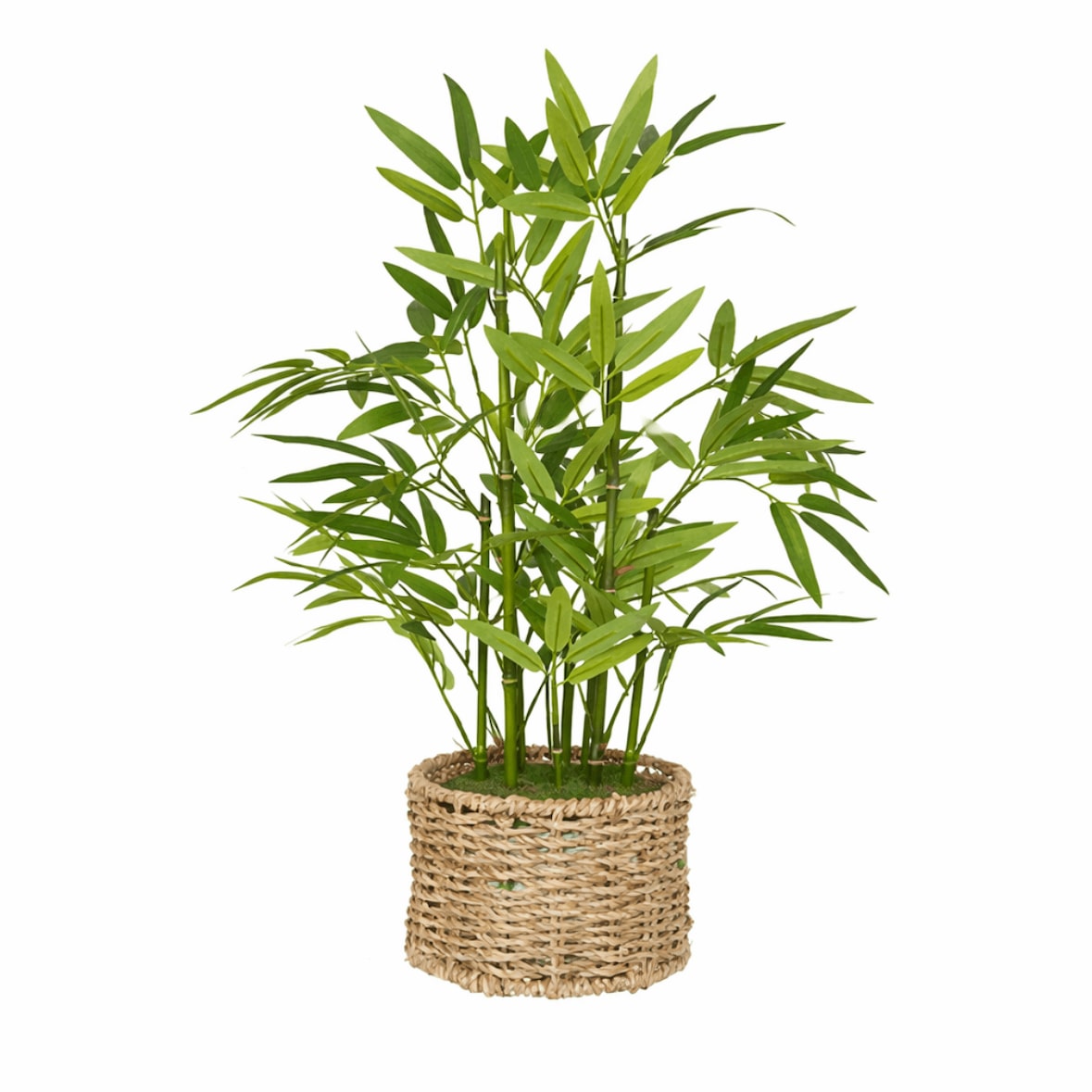 Kunstpflanze Bambus – 46 cm hoch – Pflegefreie Dekopflanze – Grün