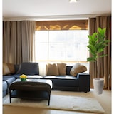 thumbnail of Pianta Ficus Elastica 140 Cm