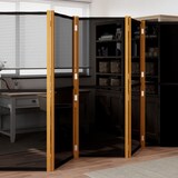 thumbnail of vidaXL 5-tlg. Raumteiler Schwarz 350x180 cm