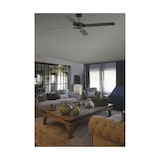 thumbnail of POLEA L Ventilatore marrone DC