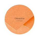 thumbnail of Pollen 250x Pollen, Faltkarten 110x155 mm, 210g - Clementine 2336C