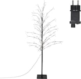 Ein Baum mit Lichtern und einem Stecker.