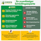 thumbnail of Schlupfwespen gegen Kleidermotten: 4x Lieferungen zur Vollbehandlung / 3