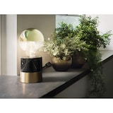 thumbnail of Paulmann Modern Classic Edition Standard 230V LED Globe Kopfspiegel E27 G95600lm 6,5W 2700K dimmbar Kopfspiegel Gold 28675